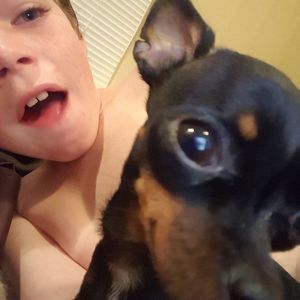 Meet your Posher, Roy